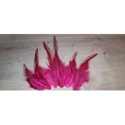 Lot de 20 Plumes de coq teintées Cerise