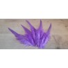 Lot de 20 Plumes de coq teintées de couleur violet lavande