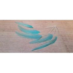 lot de 10 Coq filant couleur vert d'eau