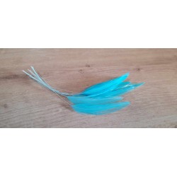 lot de 10 Coq filant couleur turquoise clair