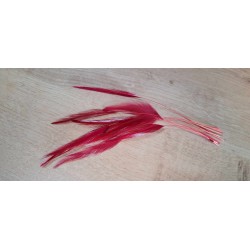 lot de 10 Coq filant teintés cerise