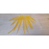 lot de 10 Coq filant non débarbulés teintés jaune safran