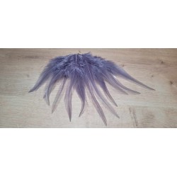 Lot de 20 Plumes naturelles de coq couleur gris