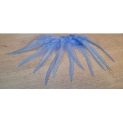 Lot de 20 Plumes naturelles de coq couleur bleu ciel