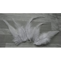 Lot de 20 Plumes naturelles de coq blanc