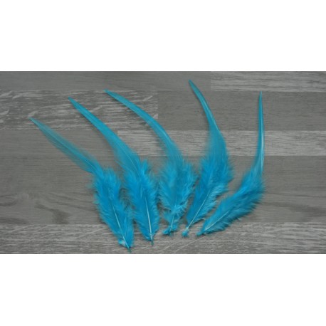 Lot de 20 Plumes naturelles de coq bleu turquoise clair