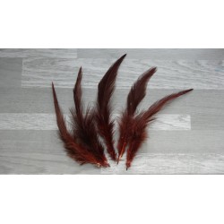 Lot de 50 Plumes naturelles de coq teintées couleur marron foncé