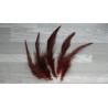 Lot de 20 Plumes naturelles de coq teintées couleur marron foncé