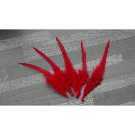 Lot de 20 Plumes de coq teintées de couleur rouge