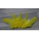 Lot de 20 Plumes de coq teintées de couleur jaune