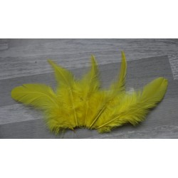 Lot de 20 Plumes de coq teintées de couleur jaune