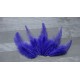 Lot de 50 Plumes de coq violet