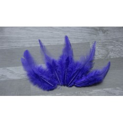 Lot de 50 Plumes de coq violet