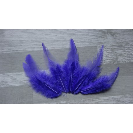 Lot de 50 Plumes de coq violet