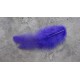 Lot de 50 Plumes de coq violet