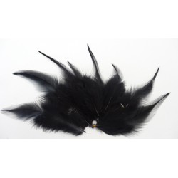 Lot de 50 Plumes de coq noir