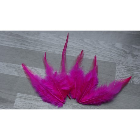 Lot de 20 Plumes de coq fuchsia