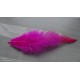 Lot de 20 Plumes de coq fuchsia