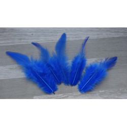 Lot de 20 Plumes de coq teintées bleu roi