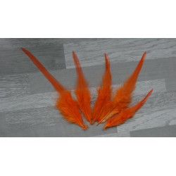 Lot de 20 Plumes de coq teintées de couleur orange