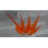 Lot de 20 Plumes de coq teintées de couleur orange