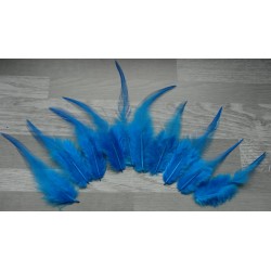 Lot de 50 Plumes naturelles de coq bleu turquoise