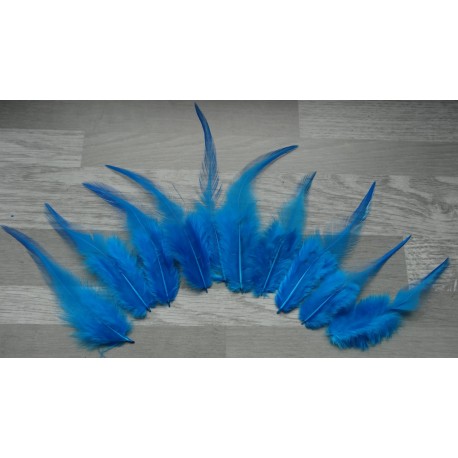 Lot de 50 Plumes naturelles de coq bleu turquoise