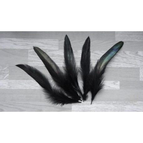 Lot de 20 Plumes de coq naturel de couleur noir pétrole